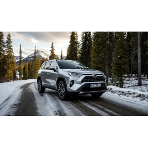 FRONWAY ICEPOWER 868. Обзор покрышек с зигзагообразными ламелями для сцепления на снегу FRONWAY ICEPOWER 868. Обзор покрышек с зигзагообразными ламелями для сцепления на снегу